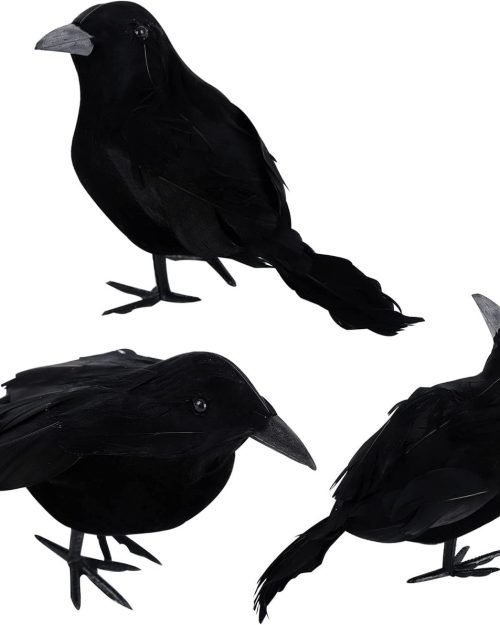 Realistic Feathered Crows — 3 Piece