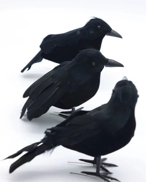 Artificial Ravens — 3 Piece