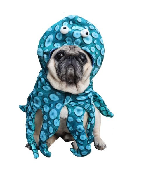 Pet Octopus Costume — Medium
