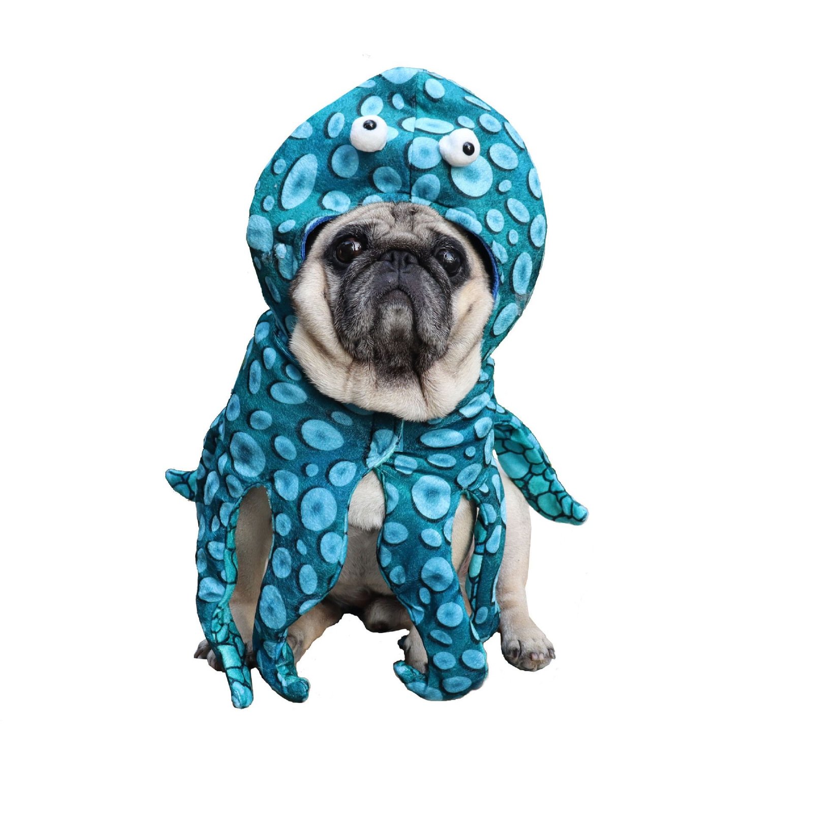 Pet Octopus Costume — Medium
