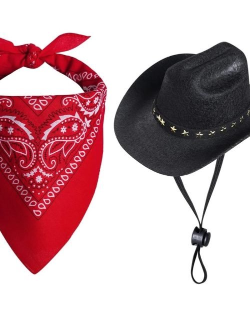Dog Cowboy Hat & Bandana Set