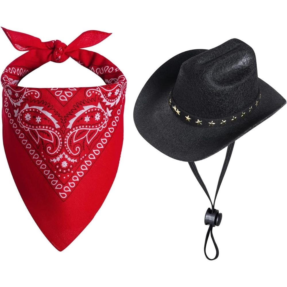 Dog Cowboy Hat & Bandana Set