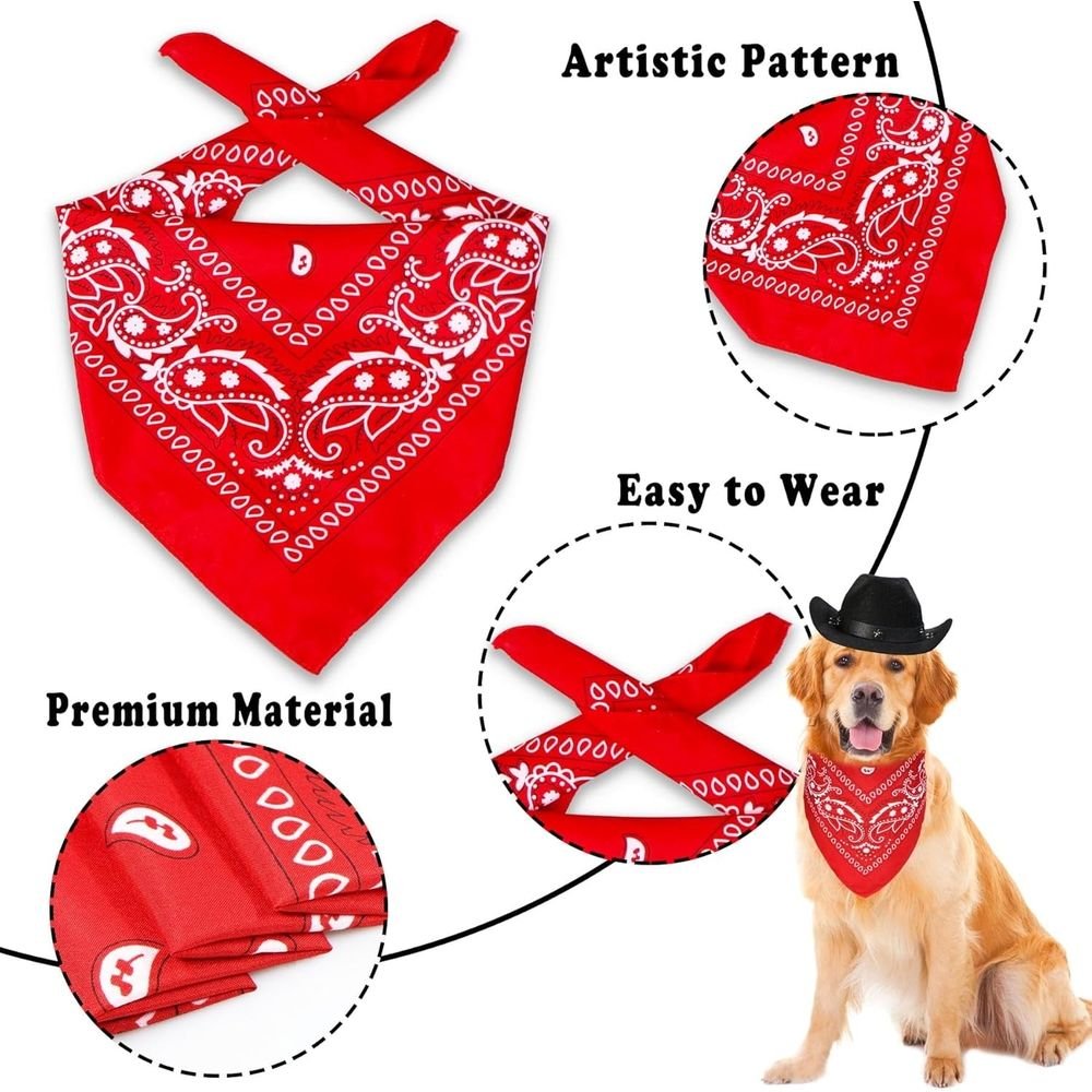 Dog Cowboy Hat & Bandana Set