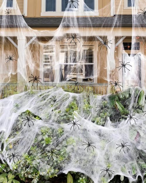 Stretch Cobwebs with 40 Spiders