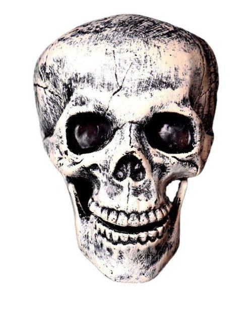 Skeleton Groundbreaker Stakes