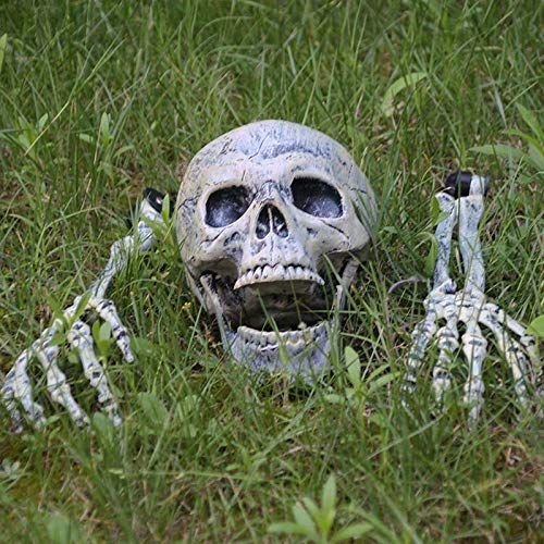 Skeleton Groundbreaker Stakes