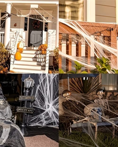 White Spider Web with Black Spiders