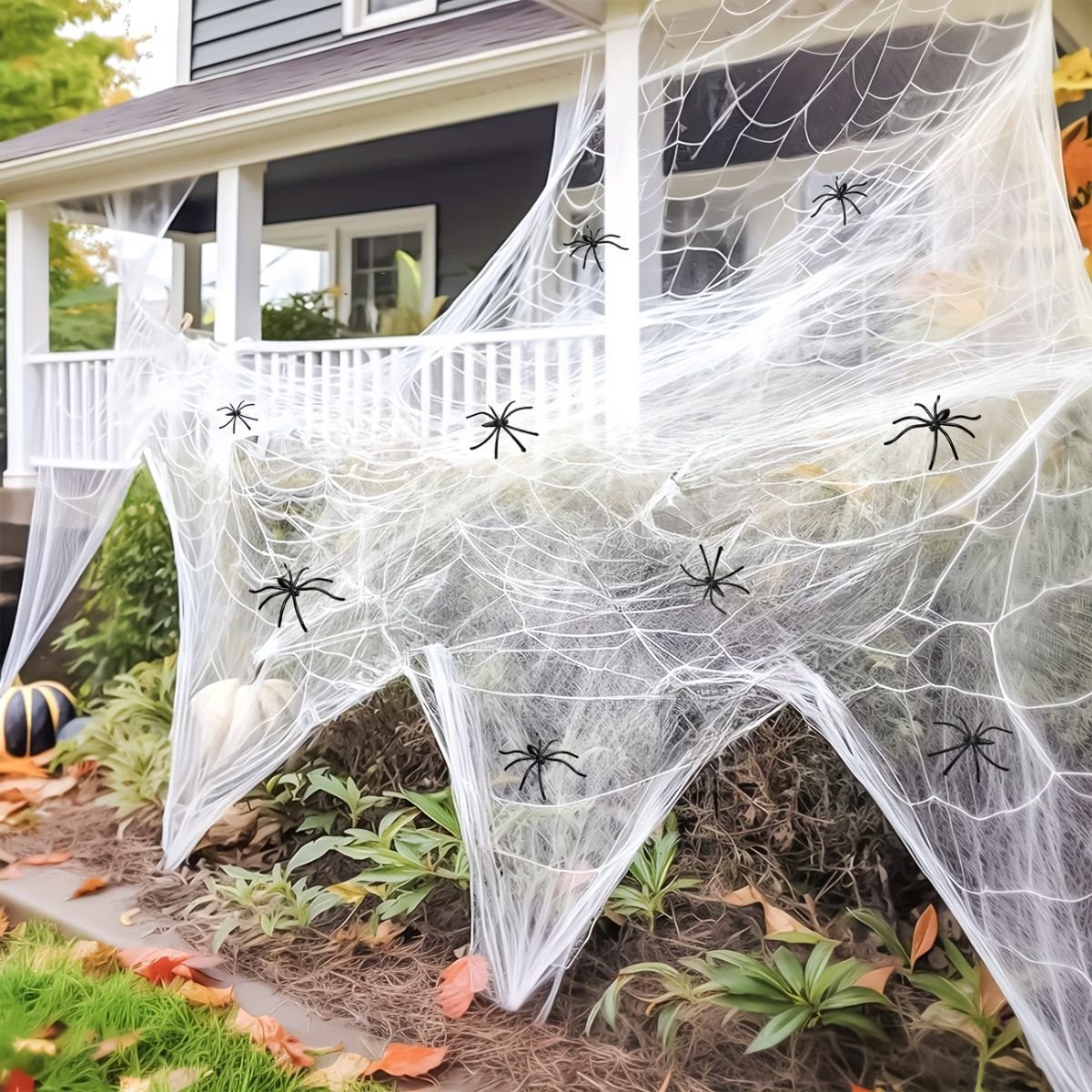 White Spider Web with Black Spiders